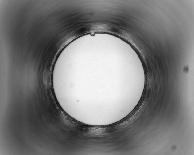 X0000103941145200810101410