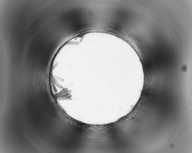 X0000103941146200810101410