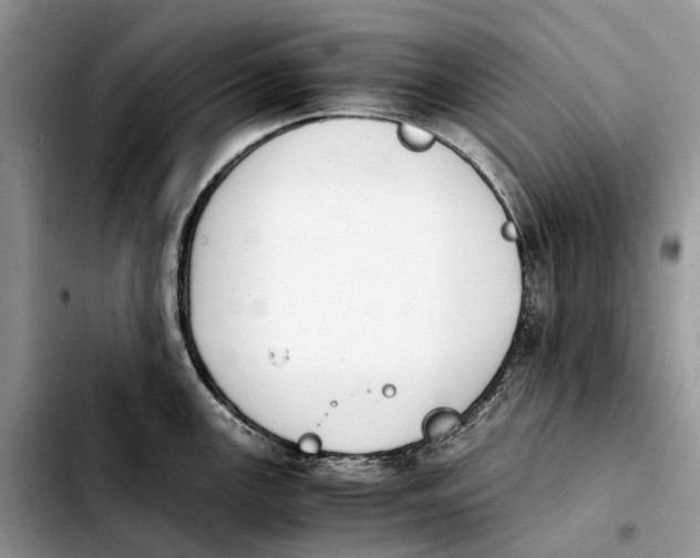 X0000103941147200810101410