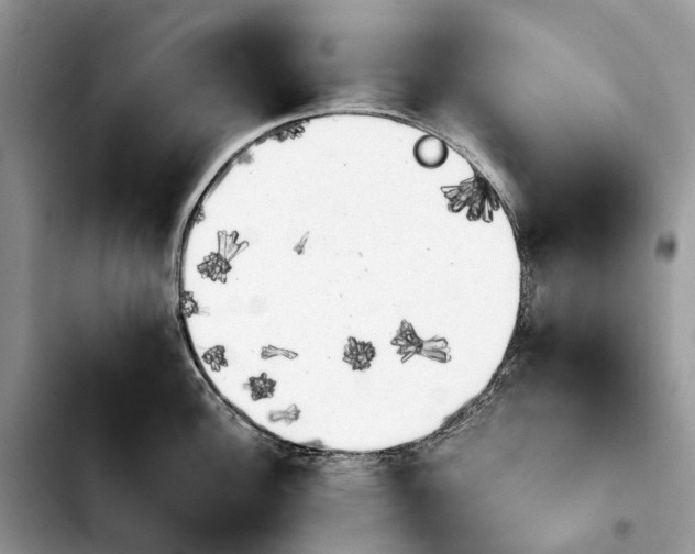 X0000103941148200810101410