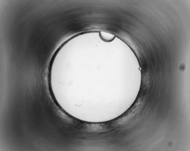 X0000103941149200810101410