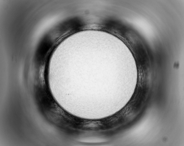 X0000103941150200810101410