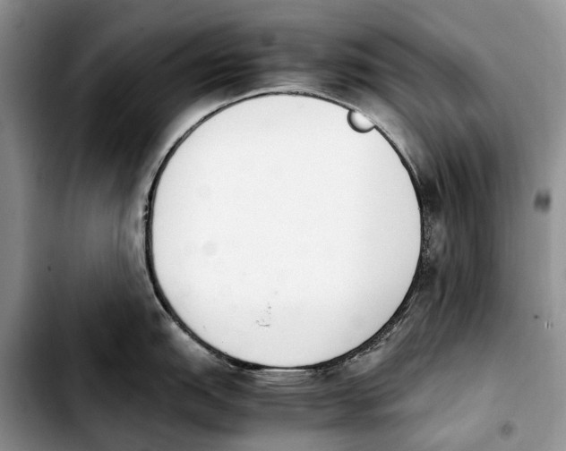 X0000103941151200810101410