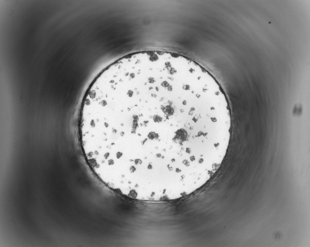 X0000103941152200810101410