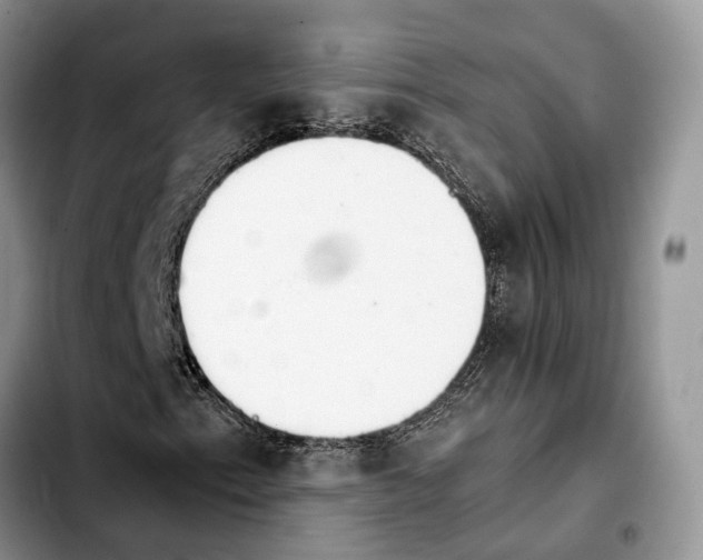 X0000103941153200810101410