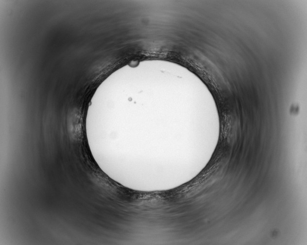 X0000103941154200810101410