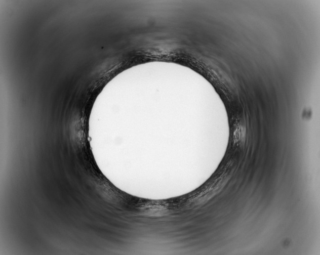 X0000103941156200810101410