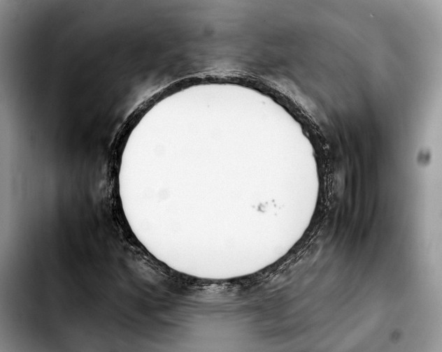 X0000103941160200810101410