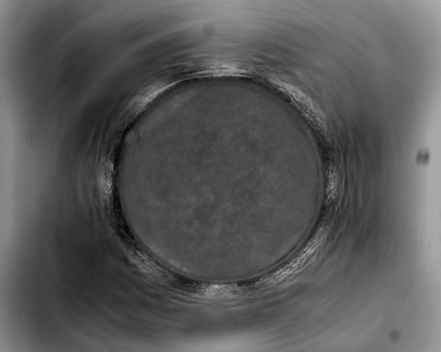 X0000103941161200810101410