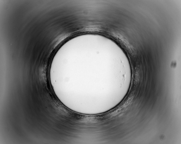 X0000103941162200810101410