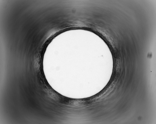 X0000103941163200810101410