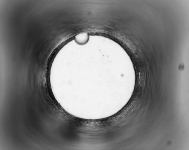 X0000103941165200810101410