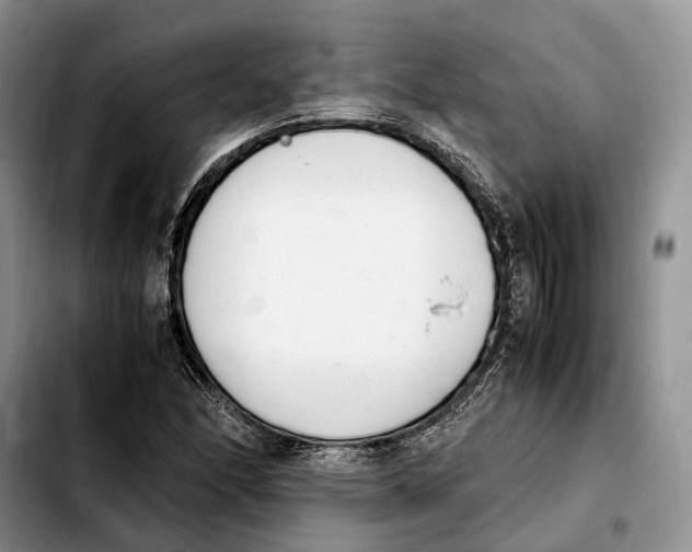 X0000103941166200810101410