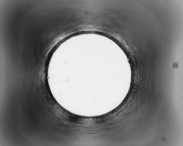 X0000103941167200810101410