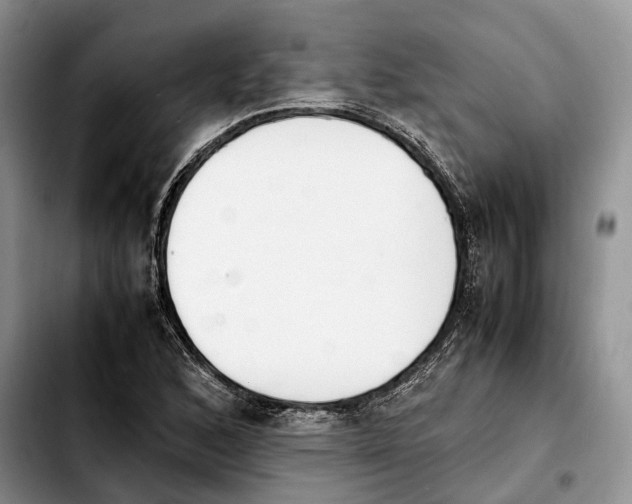 X0000103941168200810101410