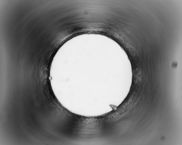 X0000103941169200810101410