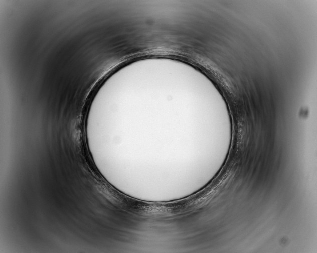 X0000103941170200810101410