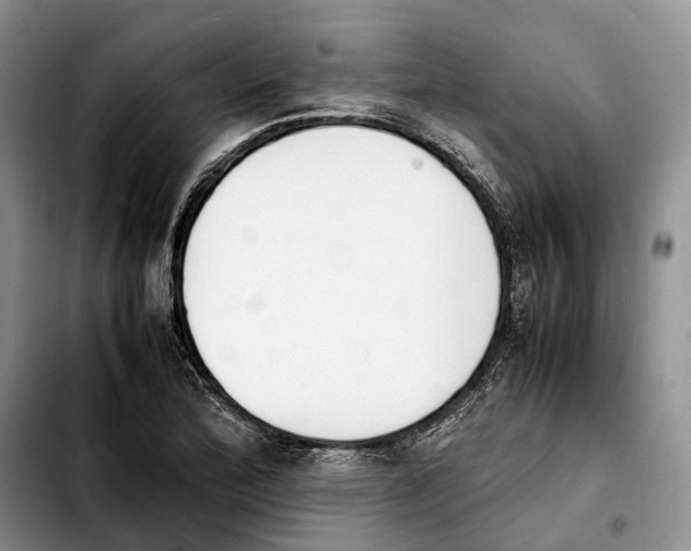 X0000103941172200810101409