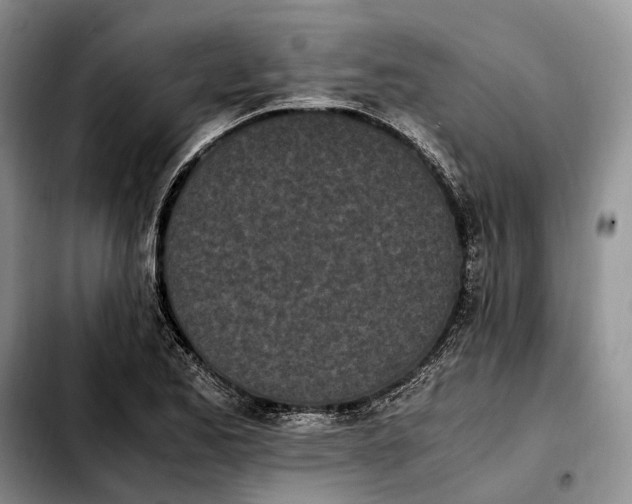 X0000103941173200810101409