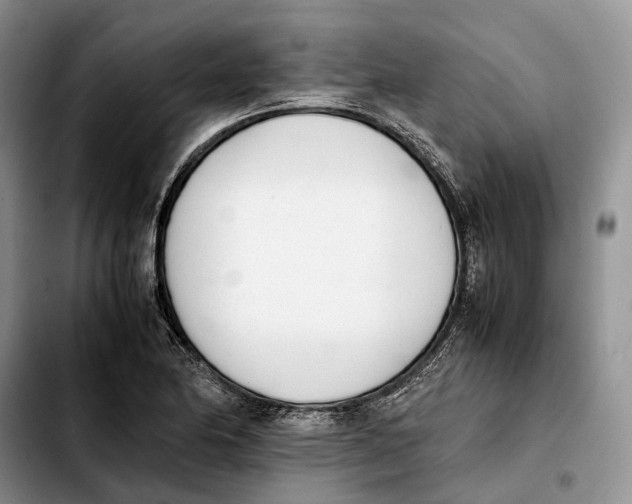 X0000103941174200810101409