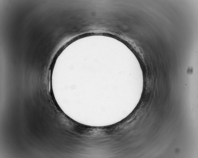 X0000103941175200810101409