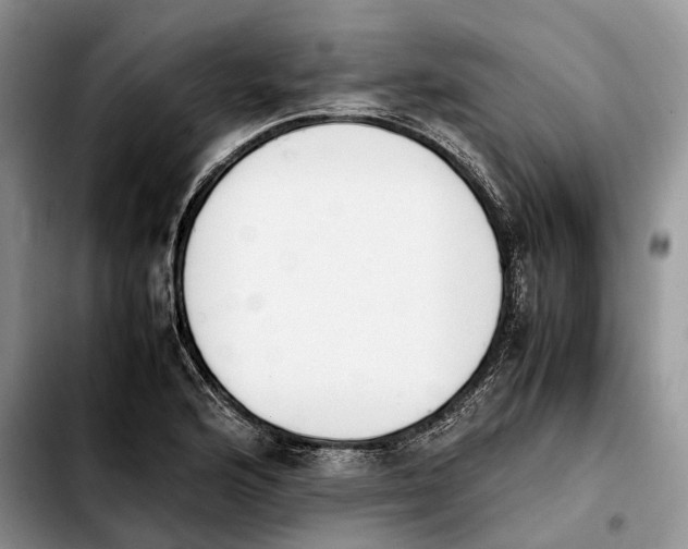 X0000103941176200810101409