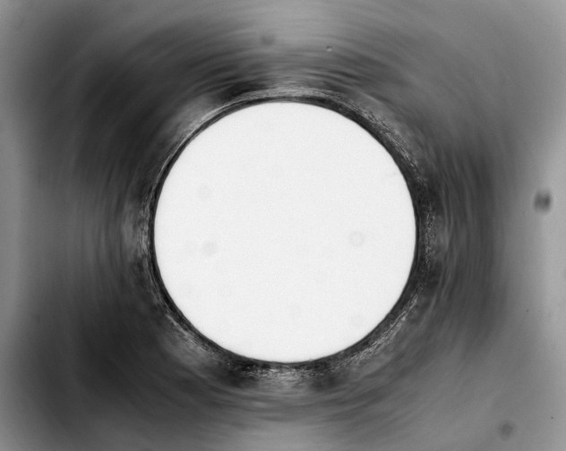 X0000103941177200810101409