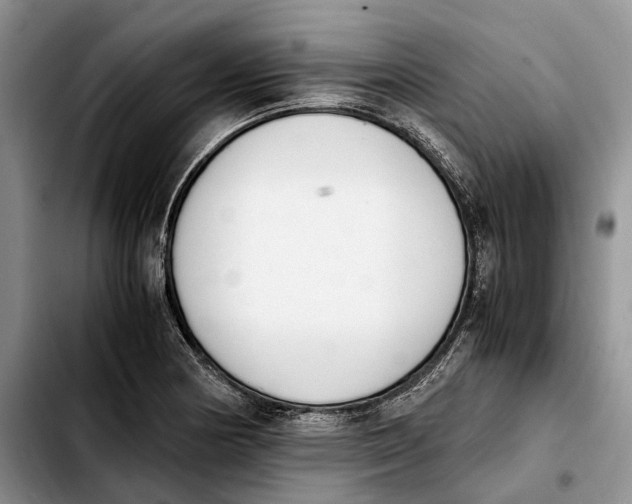 X0000103941178200810101409