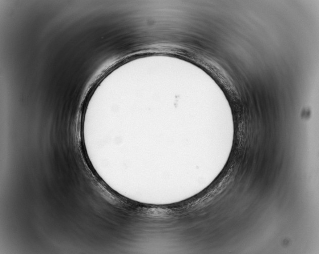 X0000103941180200810101409