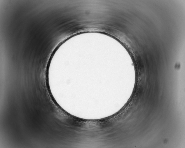 X0000103941181200810101409