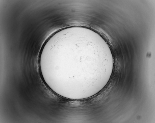 X0000103941182200810101409