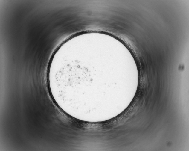 X0000103941183200810101409