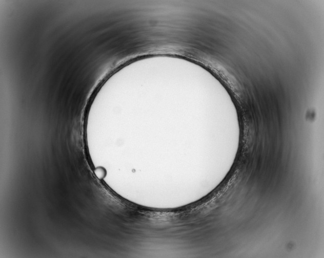 X0000103941184200810101409