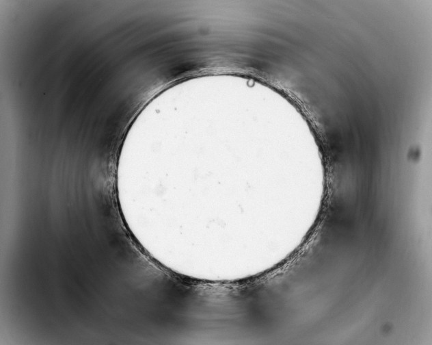 X0000103941185200810101409