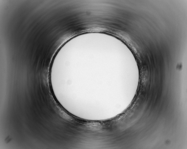 X0000103941186200810101409