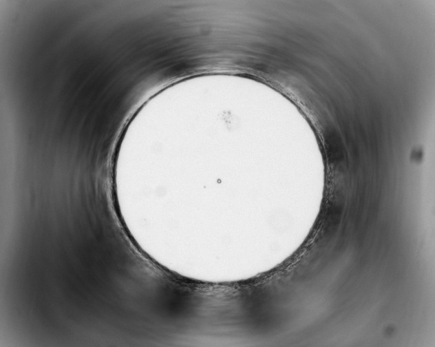 X0000103941187200810101409