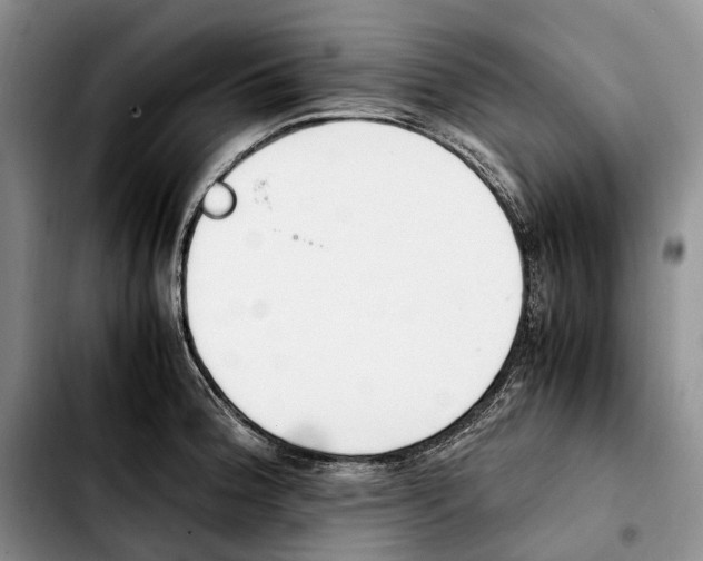 X0000103941188200810101409