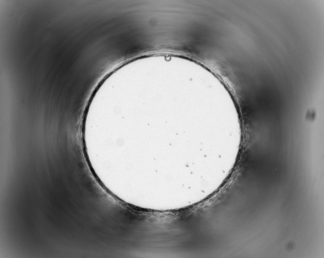 X0000103941189200810101409