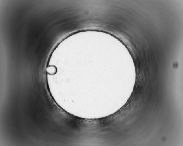 X0000103941191200810101409