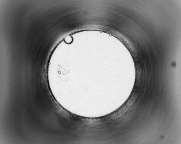 X0000103941192200810101409