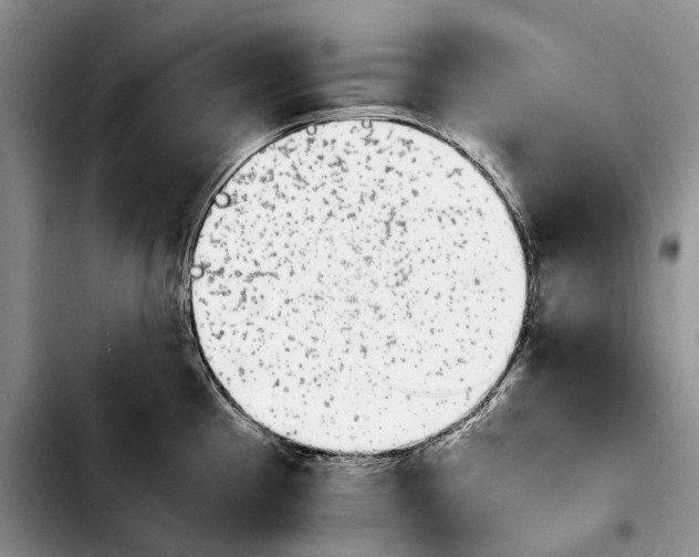 X0000103941193200810101409