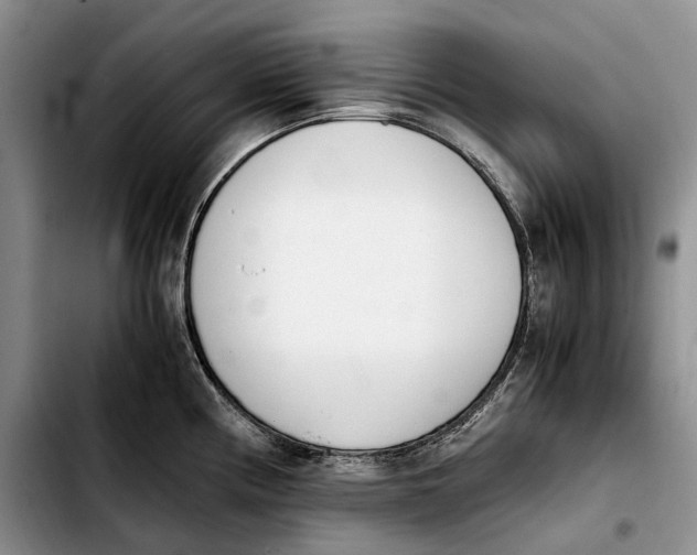 X0000103941194200810101409