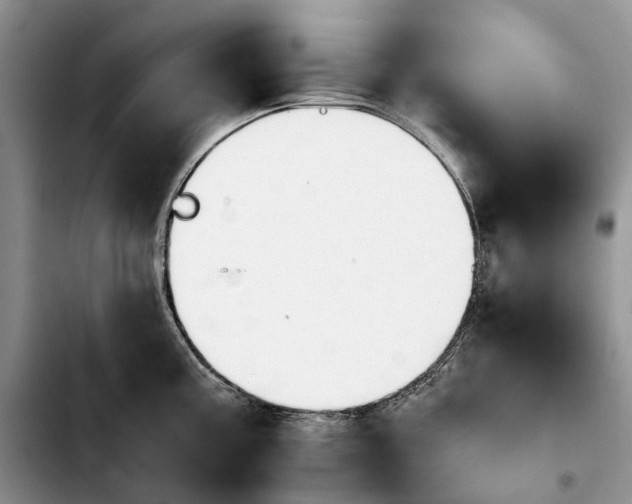 X0000103941195200810101409