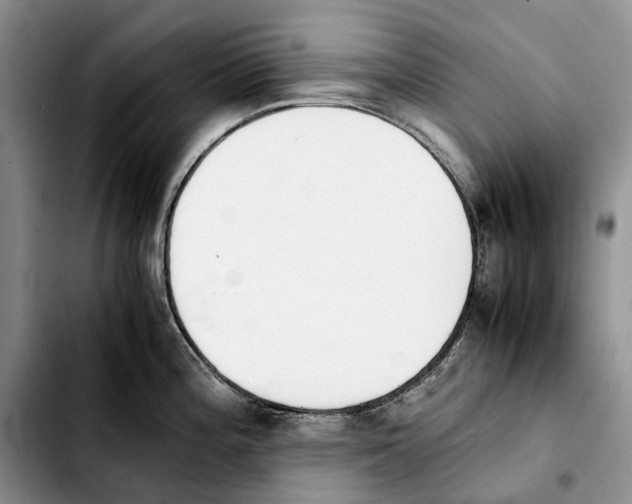 X0000103941196200810101409