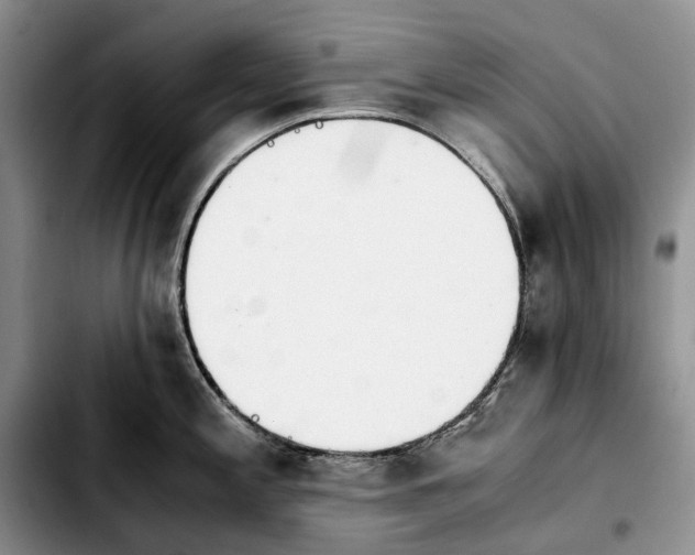 X0000103941197200810101409