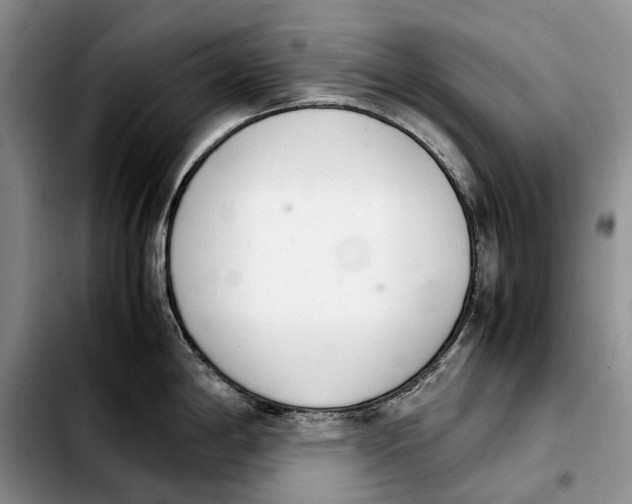 X0000103941198200810101409