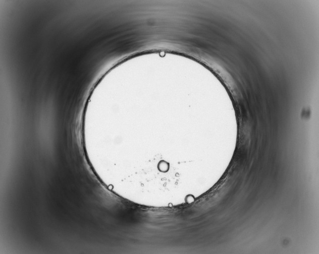 X0000103941199200810101409