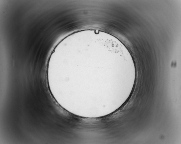 X0000103941200200810101409