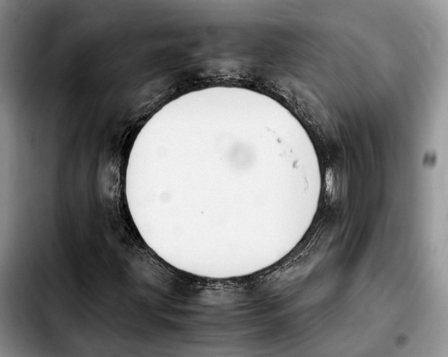 X0000103941203200810101408