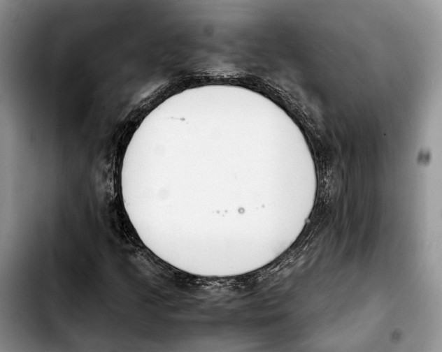 X0000103941205200810101408